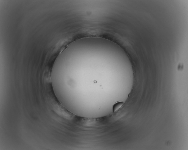 X0000092330384200709281431