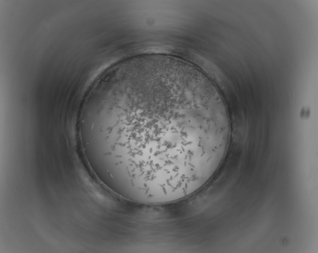 X0000092330386200709281431