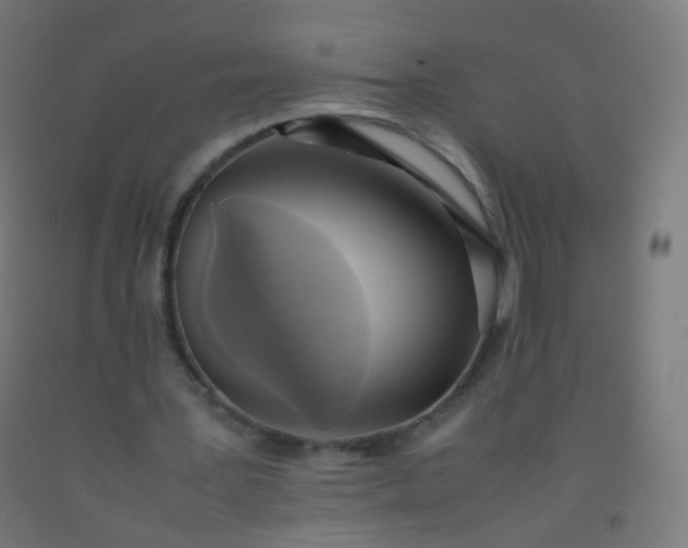 X0000092330387200709281431
