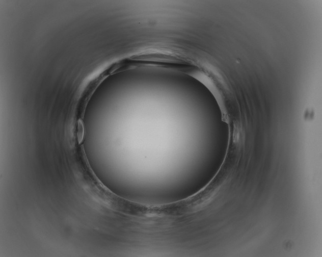 X0000092330388200709281431