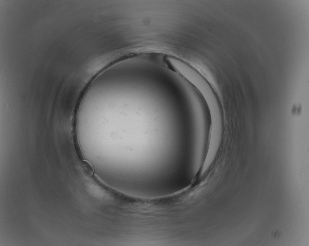 X0000092330389200709281430