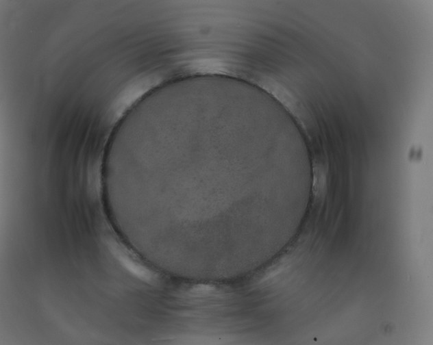 X0000092330390200709281430