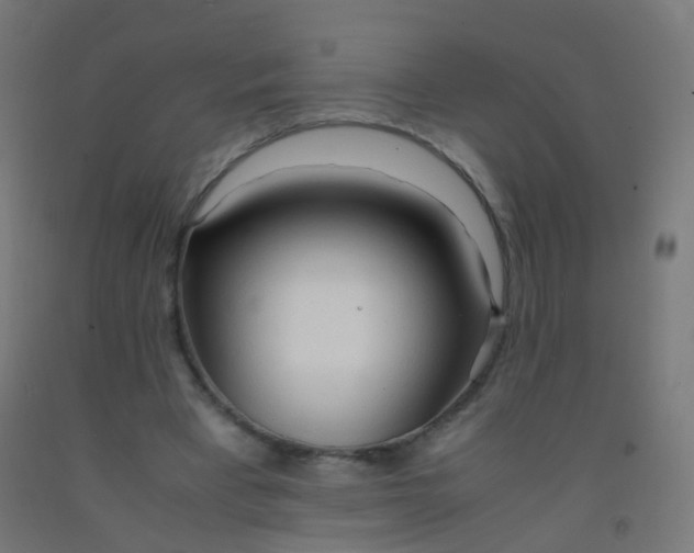 X0000092330393200709281430