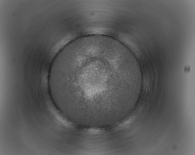 X0000092330394200709281430