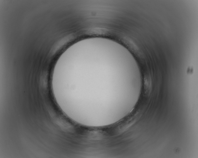 X0000092330396200709281430