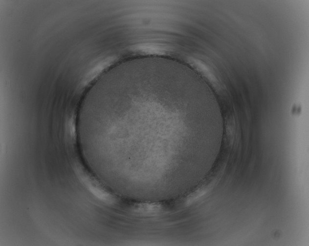 X0000092330398200709281430
