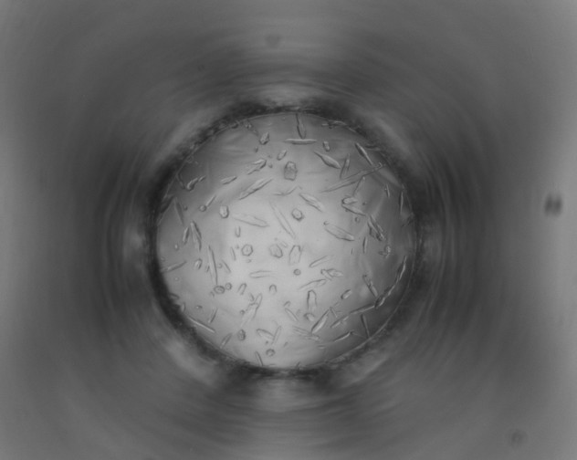X0000092330408200709281430