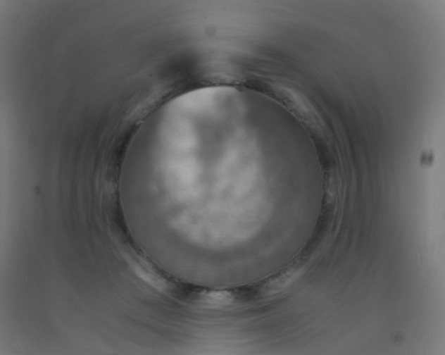 X0000092330409200709281430