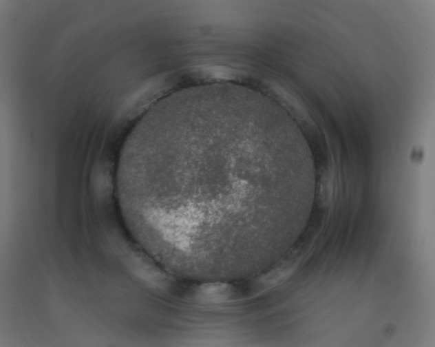 X0000092330410200709281430