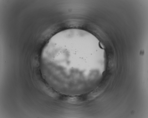 X0000092330411200709281430