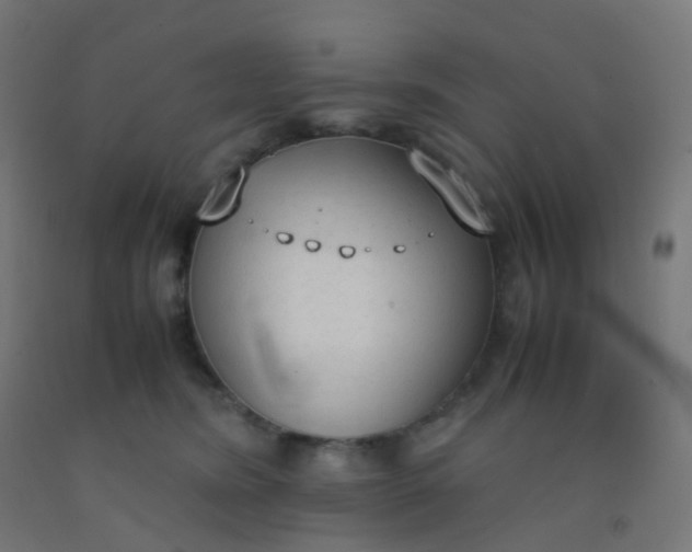 X0000092330420200709281430