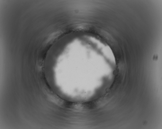 X0000092330423200709281430
