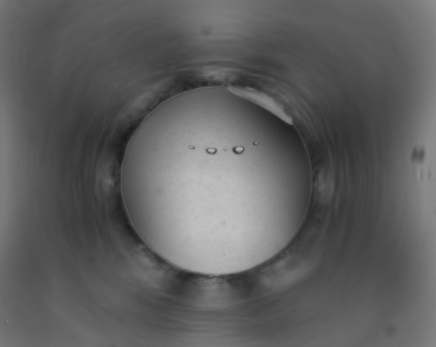 X0000092330424200709281430