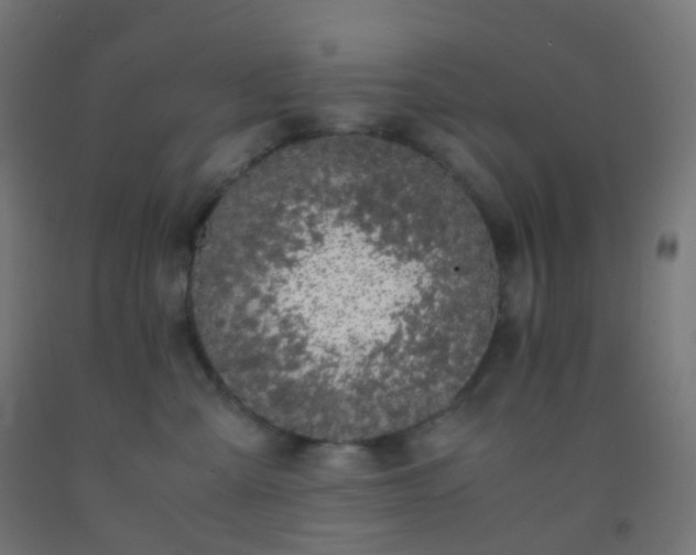 X0000092330427200709281430