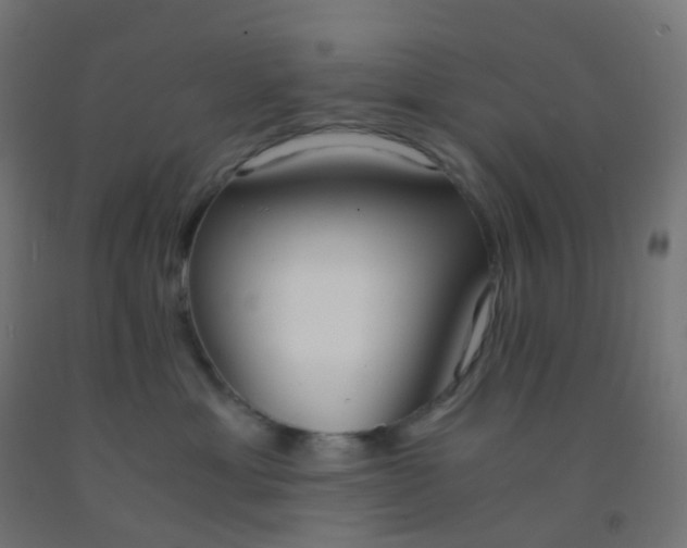 X0000092330429200709281430