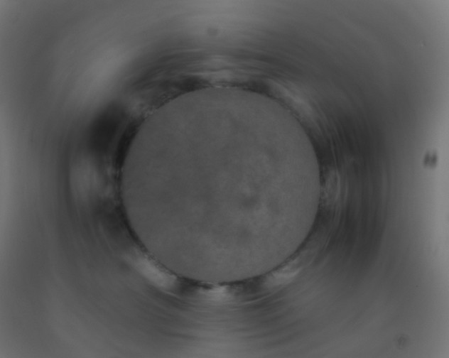 X0000092330430200709281430