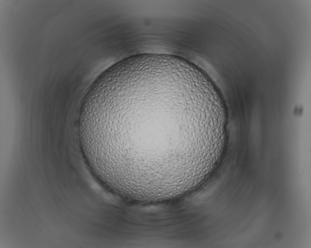 X0000092330433200709281429