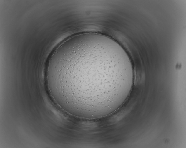 X0000092330435200709281429