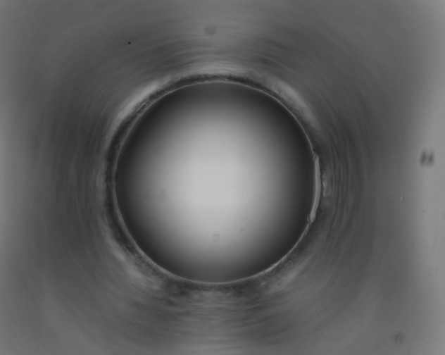 X0000092330436200709281429