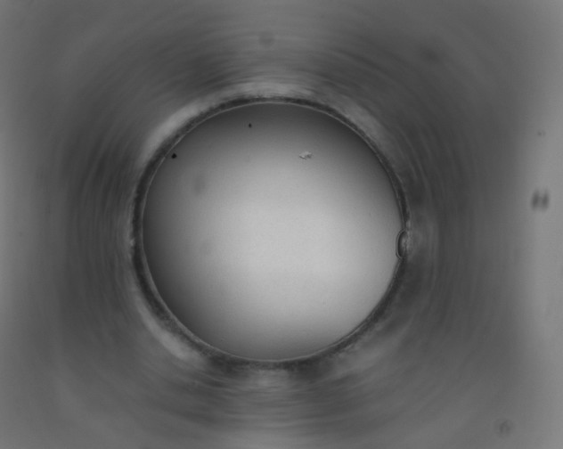 X0000092330438200709281429