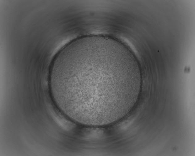 X0000092330443200709281429