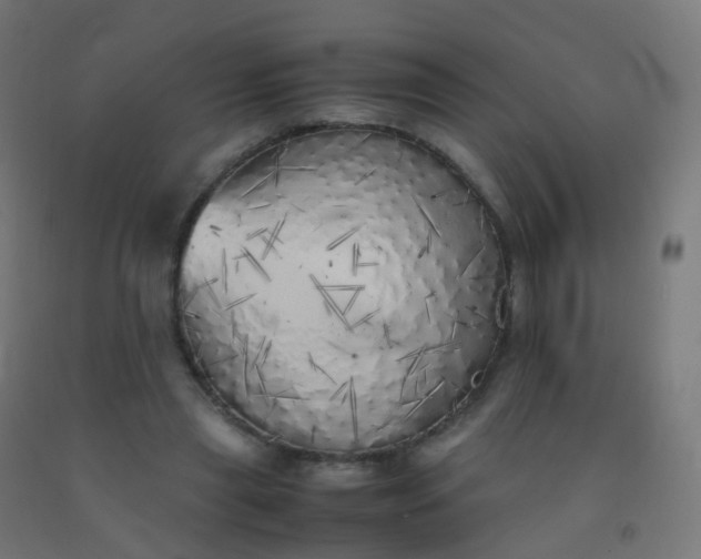 X0000092330445200709281429