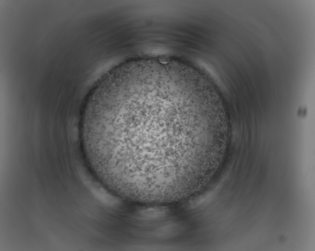X0000092330447200709281429