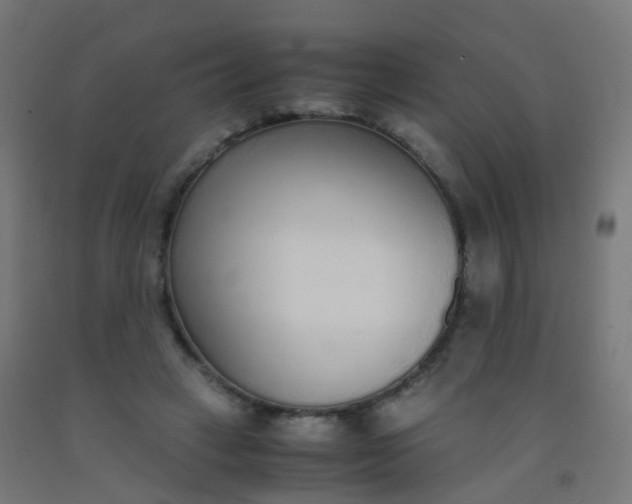 X0000092330449200709281429