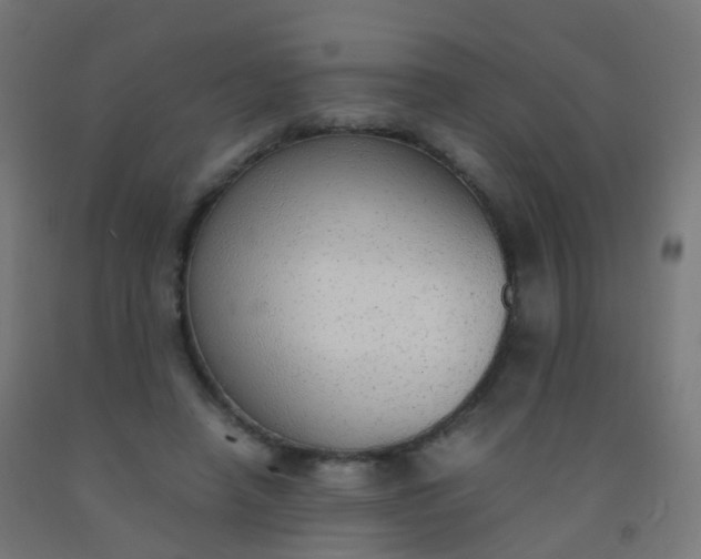 X0000092330450200709281429