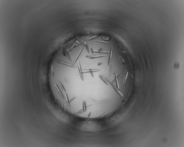 X0000092330451200709281429