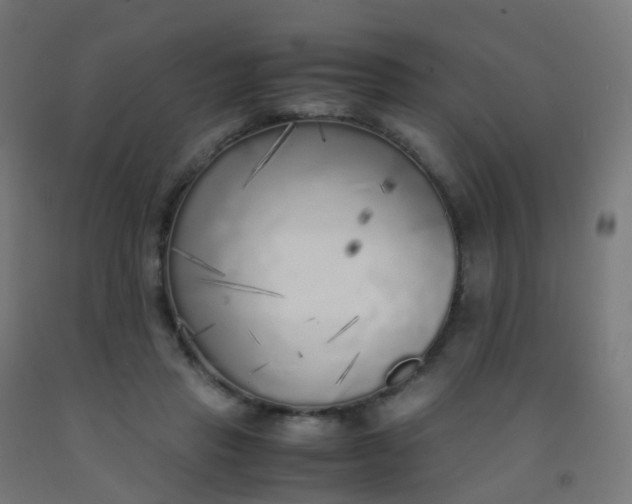 X0000092330453200709281429