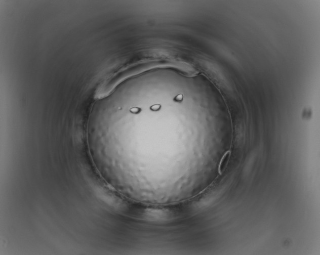 X0000092330457200709281429