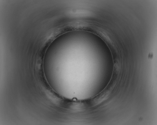 X0000092330458200709281430