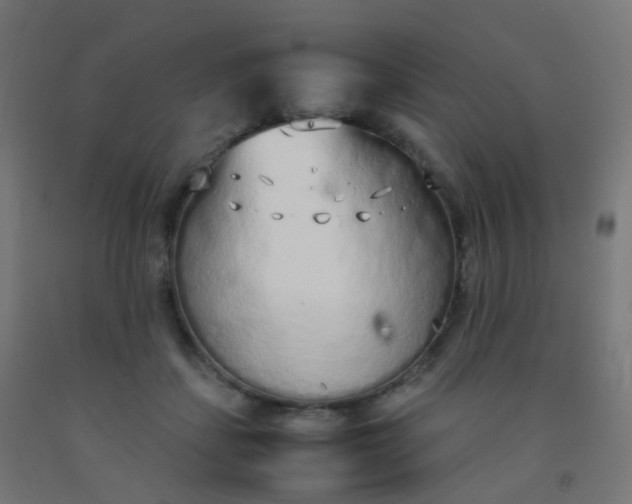 X0000092330459200709281430