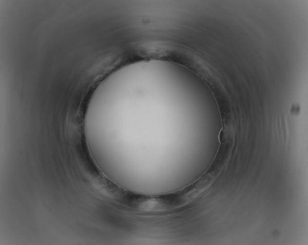 X0000092330460200709281430