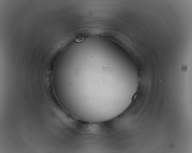 X0000092330462200709281430