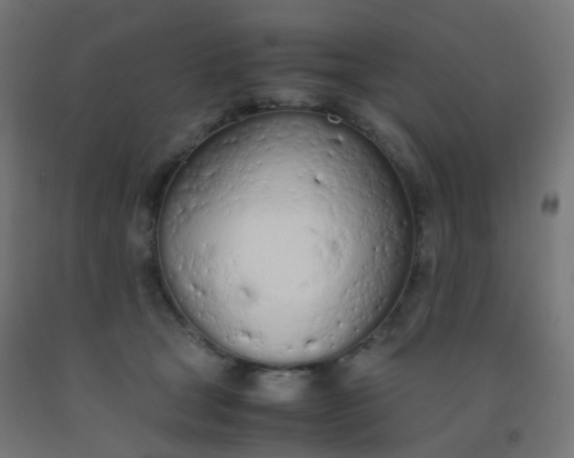 X0000092330465200709281430