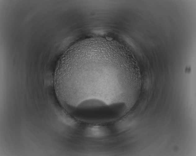 X0000092330467200709281430