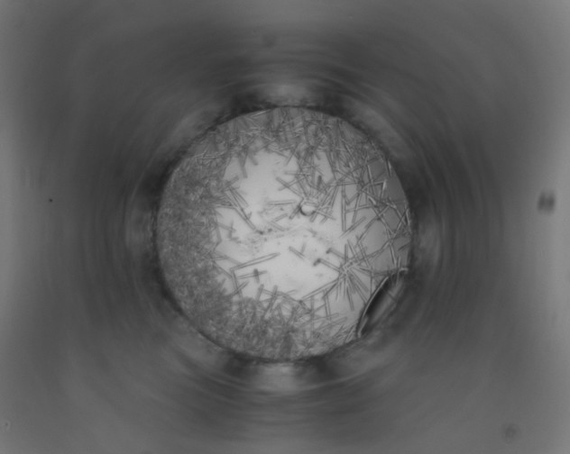 X0000092330473200709281430