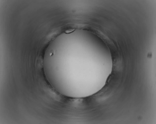 X0000092330474200709281430