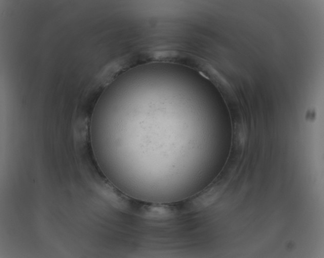 X0000092330475200709281430