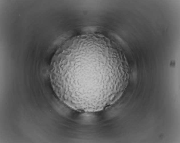 X0000092330477200709281430