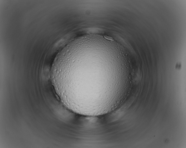 X0000092330478200709281430