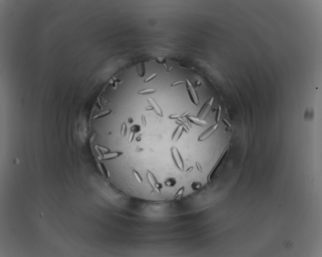 X0000092330479200709281430