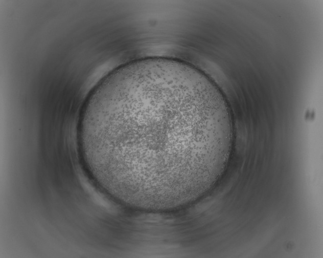 X0000092330482200709281429