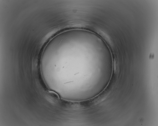 X0000092330483200709281429