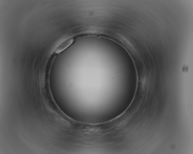 X0000092330484200709281429
