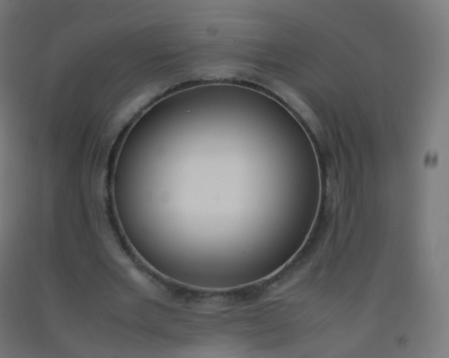 X0000092330485200709281429