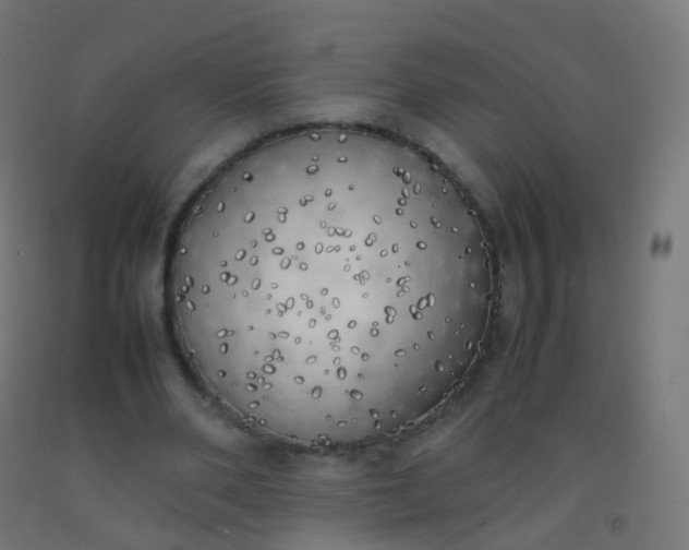 X0000092330486200709281429