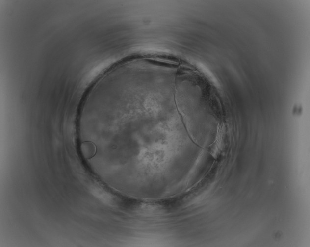 X0000092330487200709281429